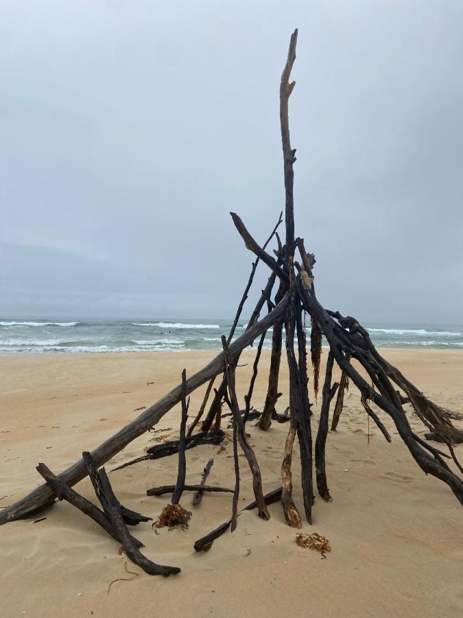 Pelican Sands Scamander Dış mekan fotoğraf